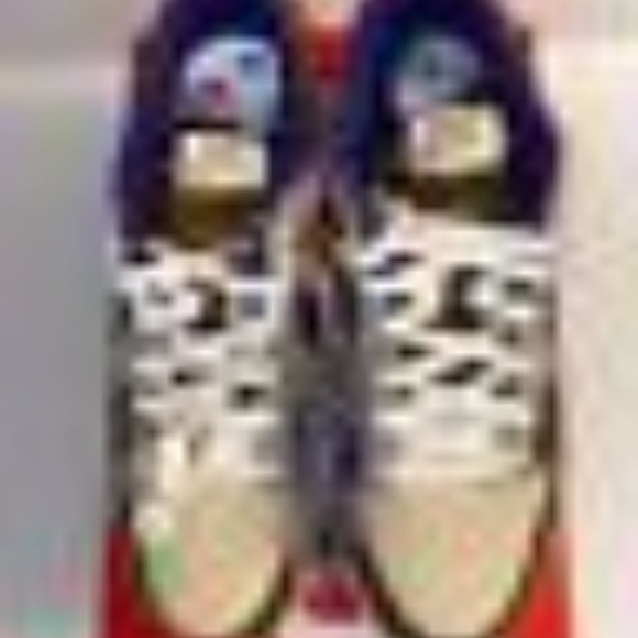Nike Dunk Low Setsubun (2022)  SZ 9.5 main image 11